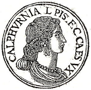 Calpurnia_Pisonis.jpg