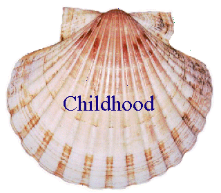 scallop1.gif